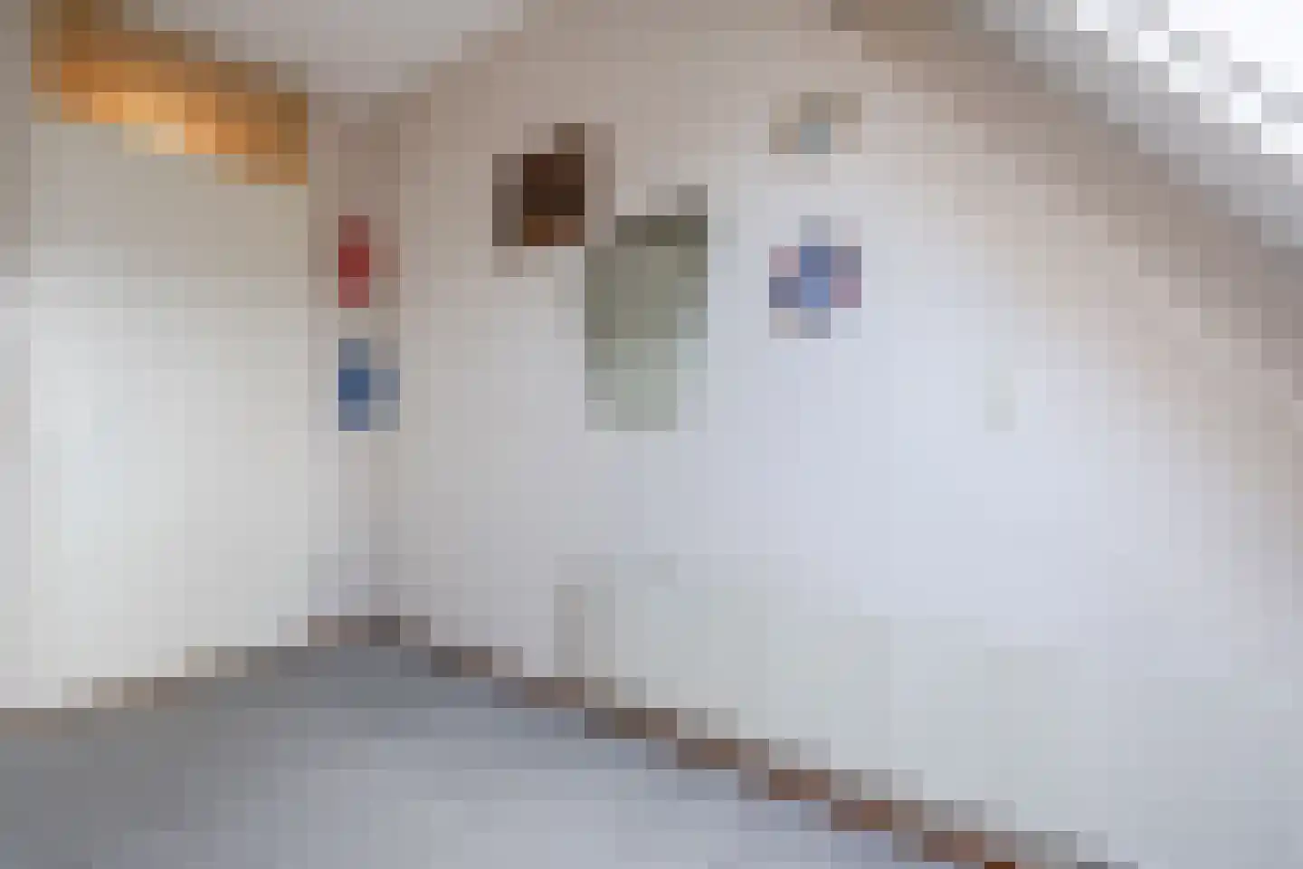Knollenkampen 5 Assen thumbnail 30