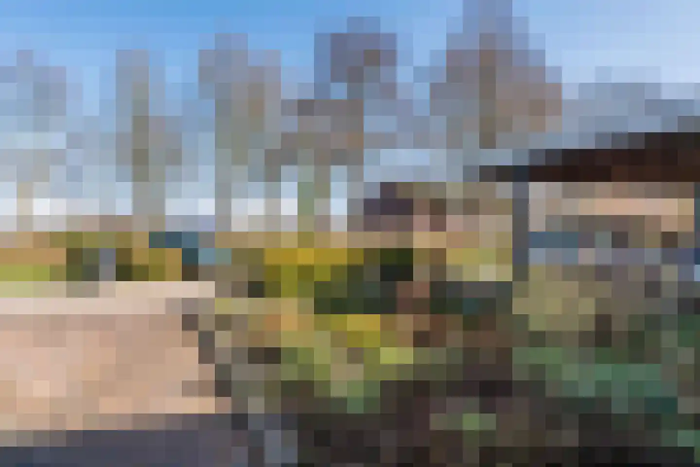 Knollenkampen 5 Assen thumbnail 5
