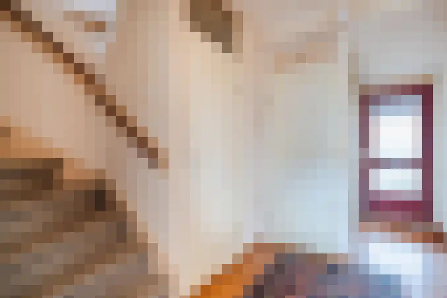 Knollenkampen 5 Assen thumbnail 7
