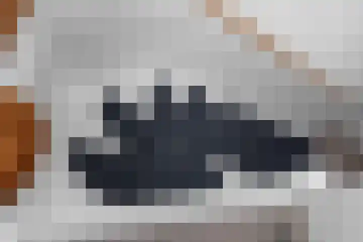 Knollenpad 108 Nijmegen thumbnail 19