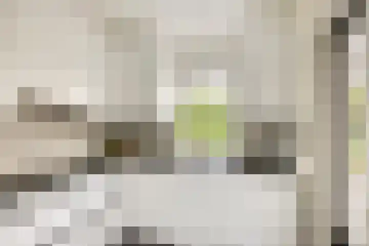 Knolwei 15 Schimmert thumbnail 10