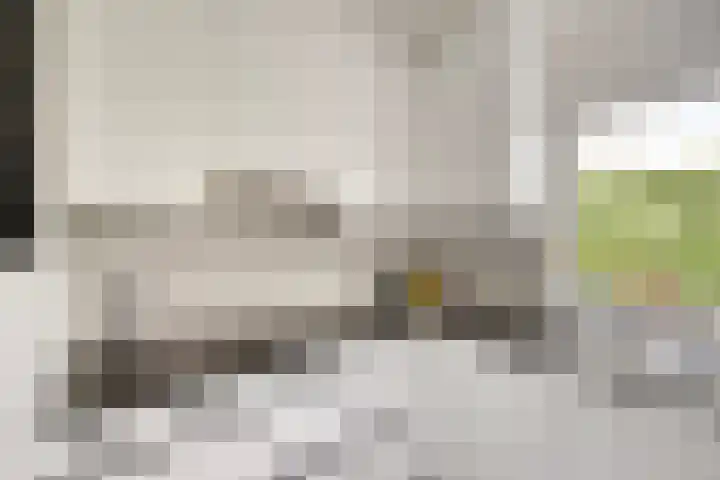 Knolwei 15 Schimmert thumbnail 11