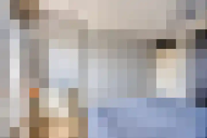 Knolwei 15 Schimmert thumbnail 14