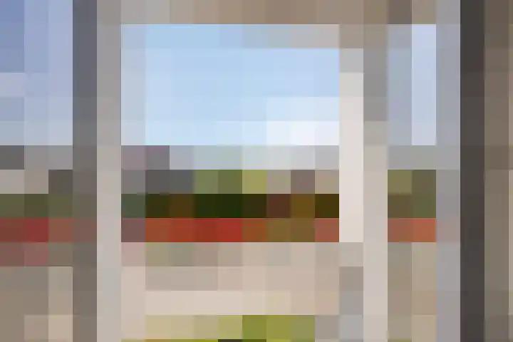 Knolwei 15 Schimmert thumbnail 15