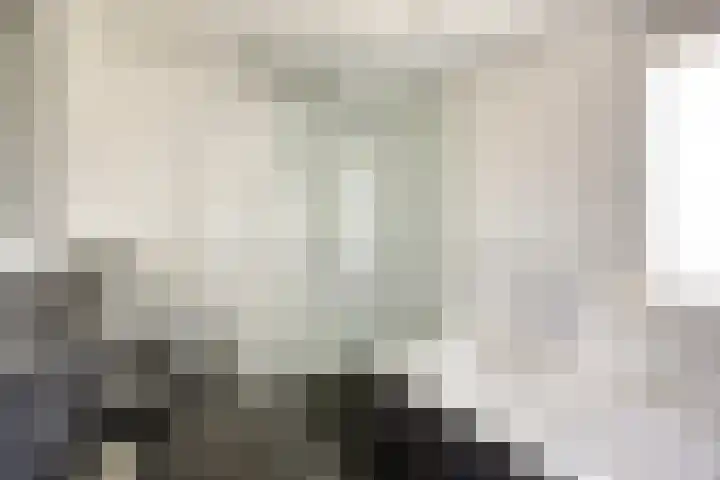Knolwei 15 Schimmert thumbnail 16