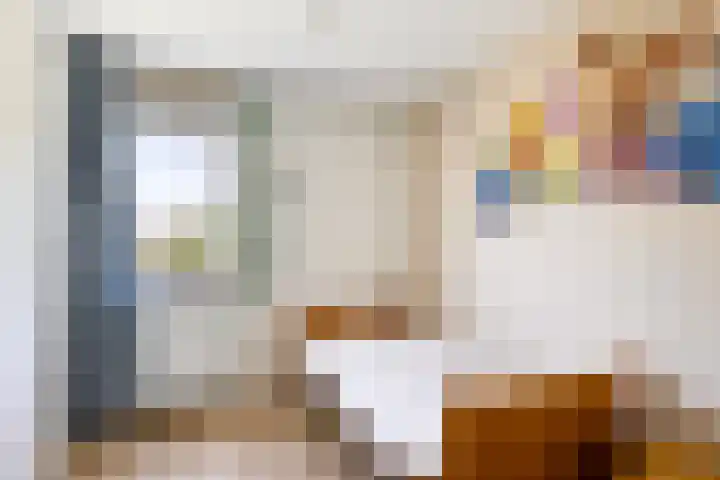 Knolwei 15 Schimmert thumbnail 20