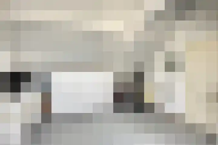 Knolwei 15 Schimmert thumbnail 23