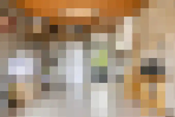 Knolwei 15 Schimmert thumbnail 25