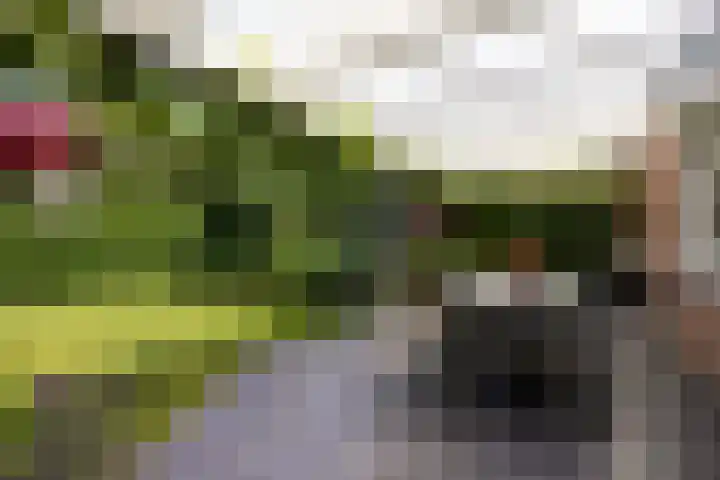 Knolwei 15 Schimmert thumbnail 28
