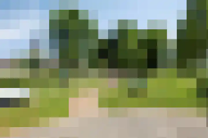 Knolwei 15 Schimmert thumbnail 34