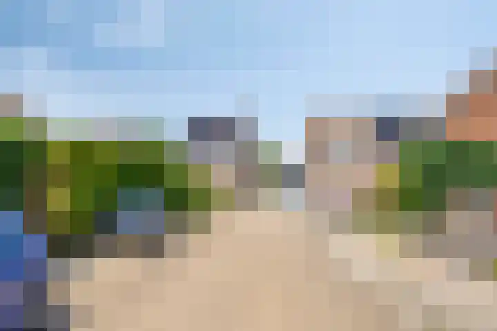 Knolwei 15 Schimmert thumbnail 35