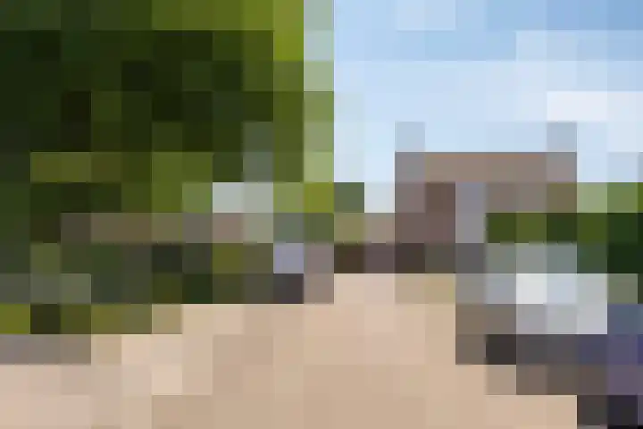 Knolwei 15 Schimmert thumbnail 36