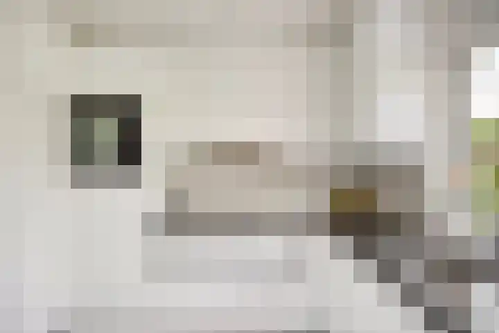 Knolwei 15 Schimmert thumbnail 4
