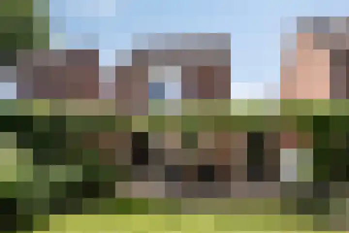 Knolwei 15 Schimmert thumbnail 5