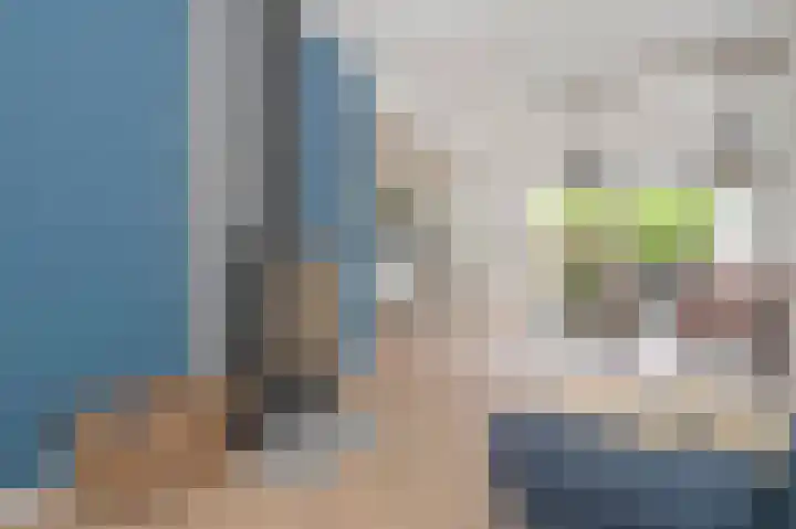 Knolwei 38 Schimmert thumbnail 13