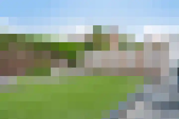 Knolwei 38 Schimmert thumbnail 24