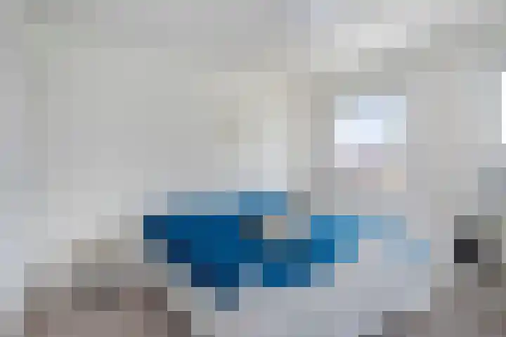 Knolwei 38 Schimmert thumbnail 26