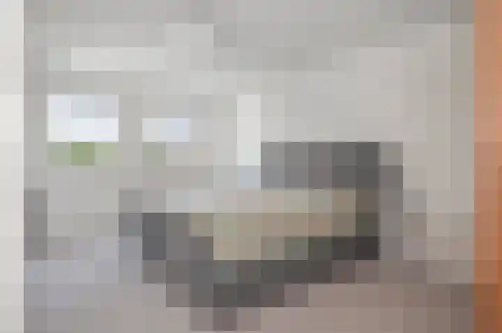 Knolwei 38 Schimmert thumbnail 28