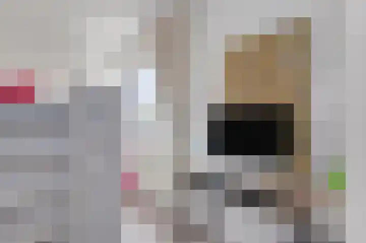 Knolwei 38 Schimmert thumbnail 30