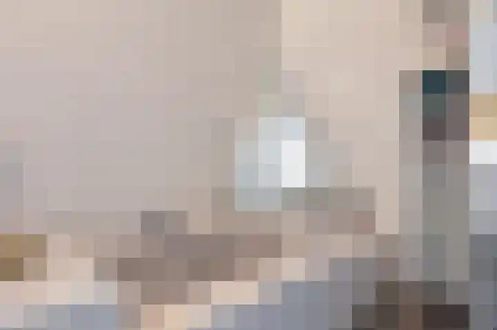 Knolwei 38 Schimmert thumbnail 33