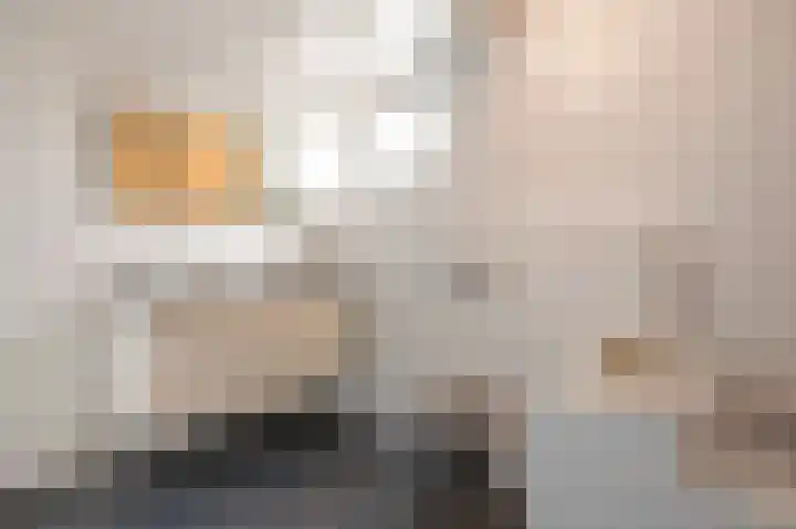 Knolwei 38 Schimmert thumbnail 34