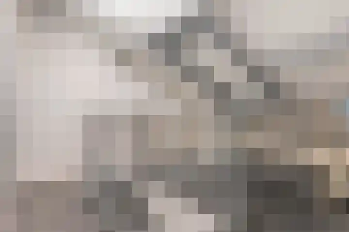 Knolwei 38 Schimmert thumbnail 35