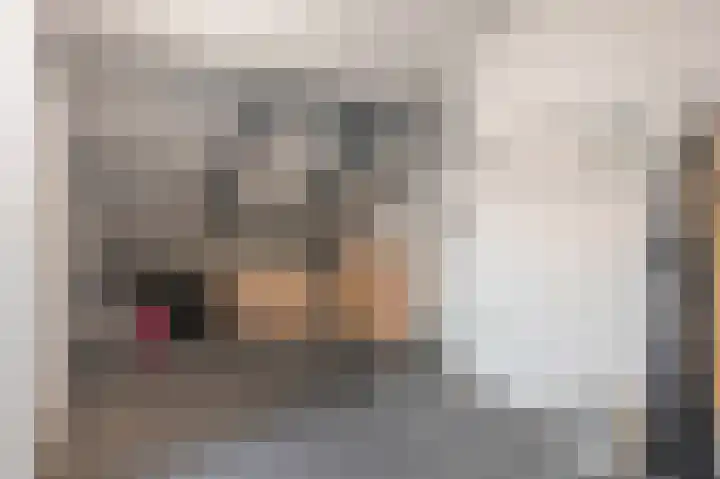Knolwei 38 Schimmert thumbnail 36