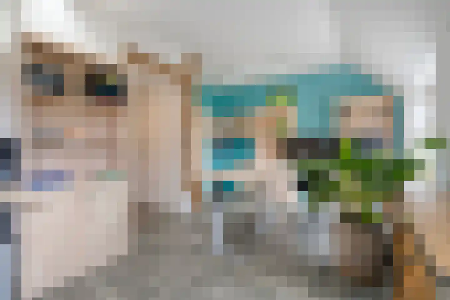 Knooperf de Veldboer 1 Langeveen thumbnail 18