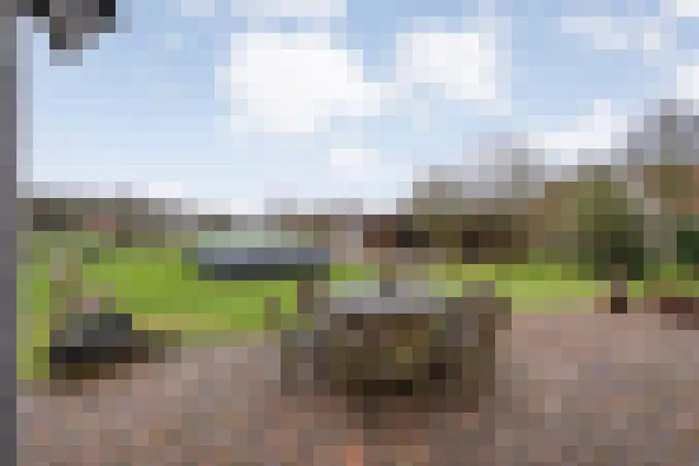 Knooperf de Veldboer 1 Langeveen thumbnail 25