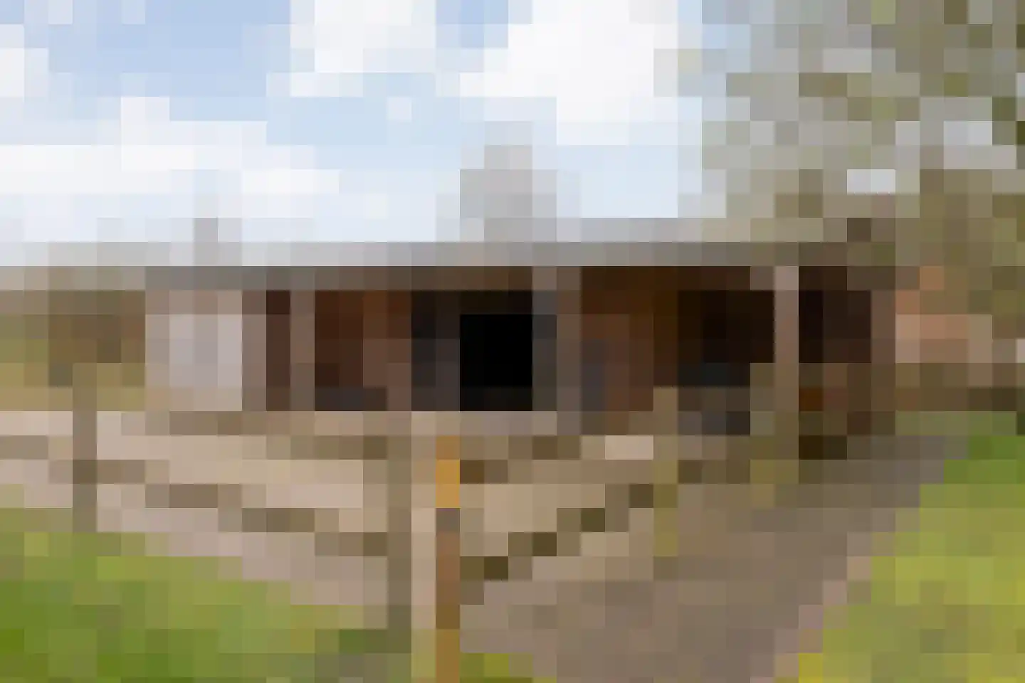 Knooperf de Veldboer 1 Langeveen thumbnail 26