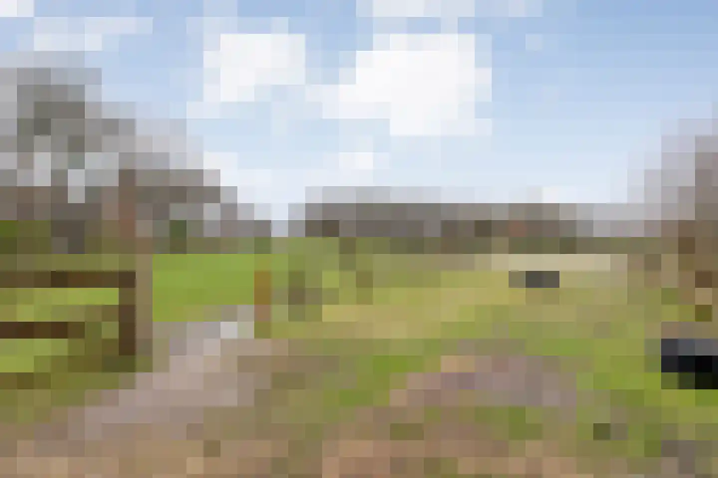 Knooperf de Veldboer 1 Langeveen thumbnail 28