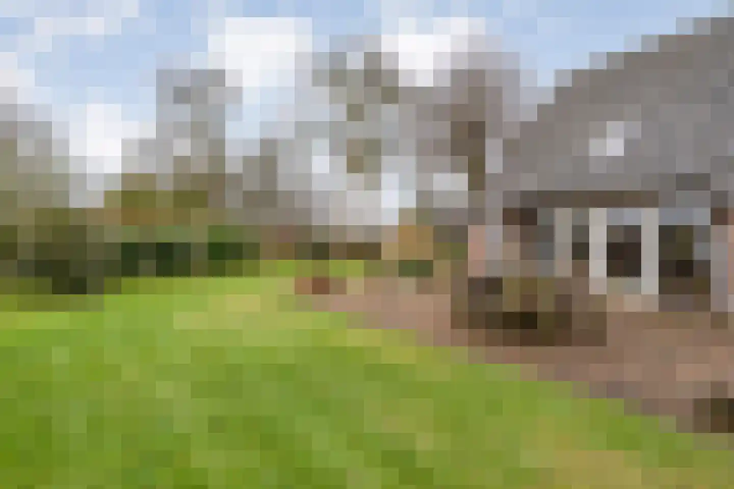 Knooperf de Veldboer 1 Langeveen thumbnail 29