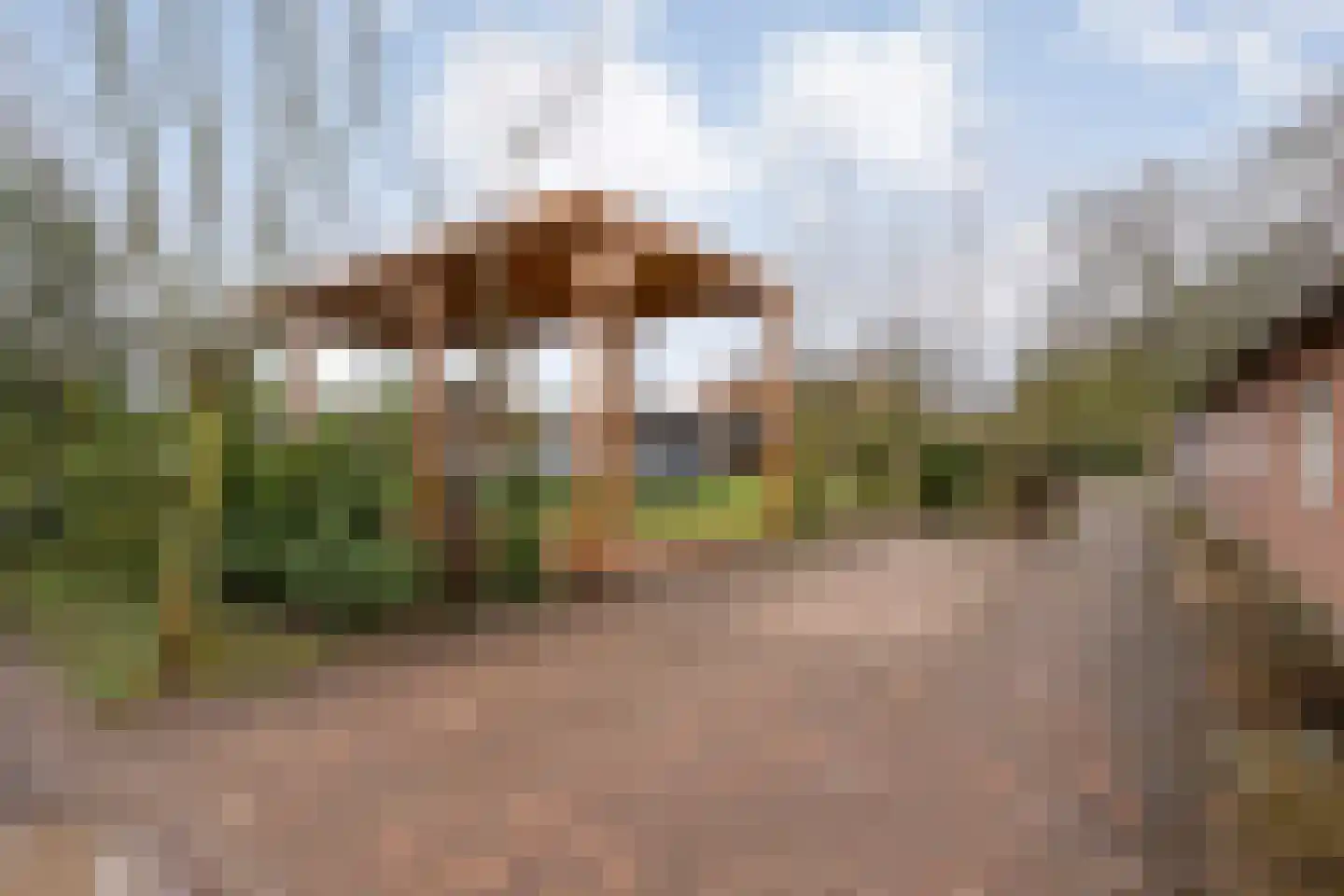 Knooperf de Veldboer 1 Langeveen thumbnail 30