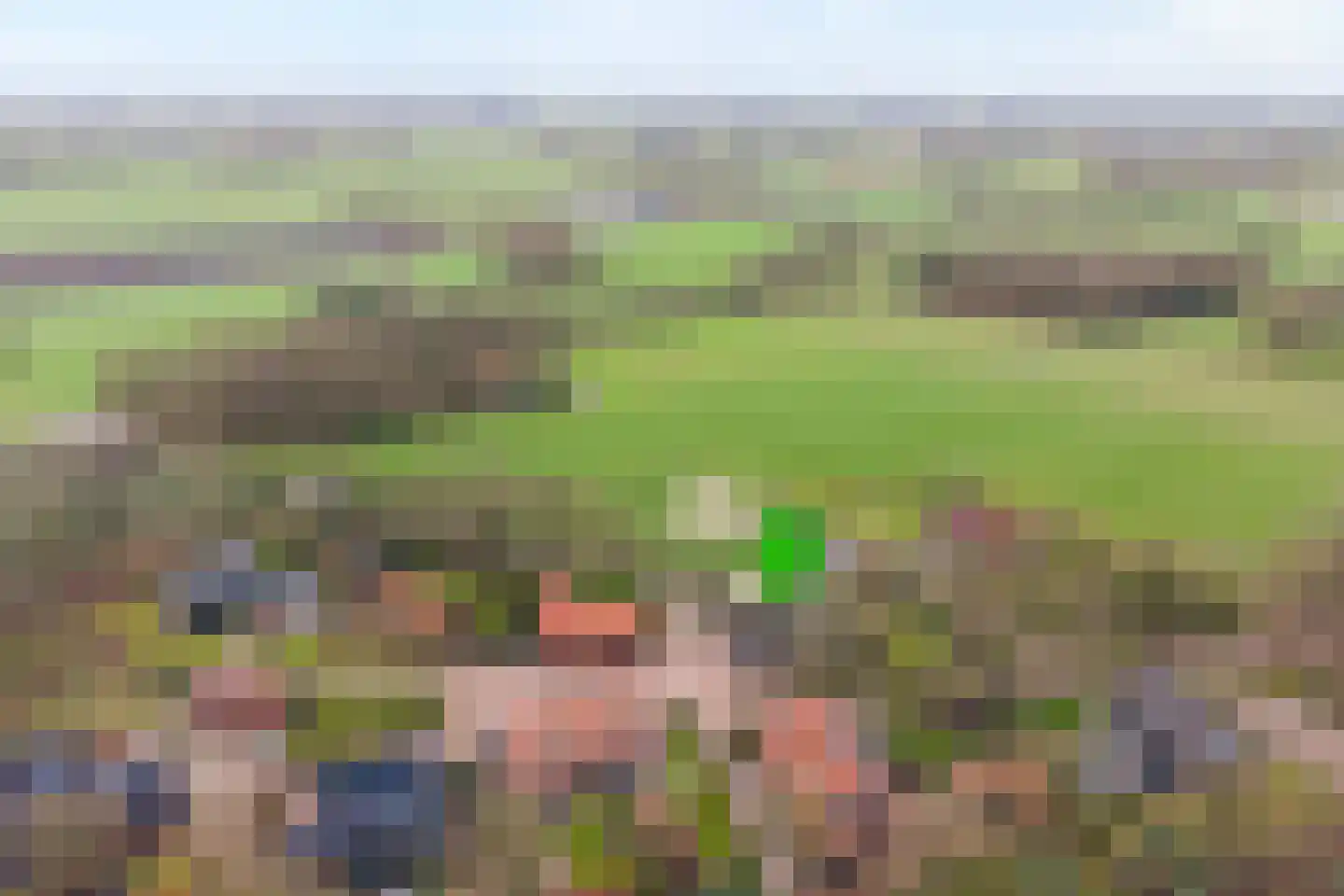 Knooperf de Veldboer 1 Langeveen thumbnail 33