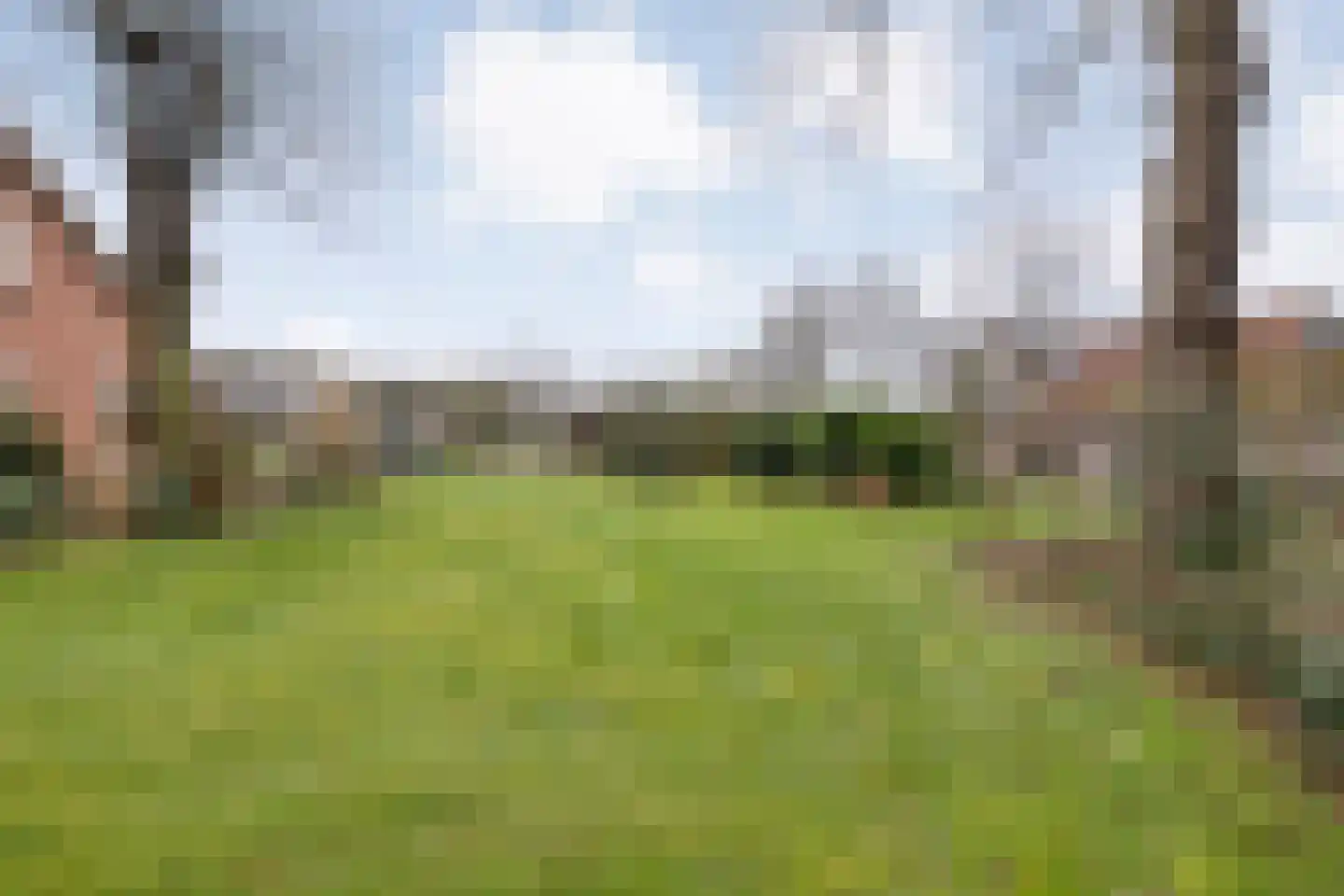 Knooperf de Veldboer 1 Langeveen thumbnail 35