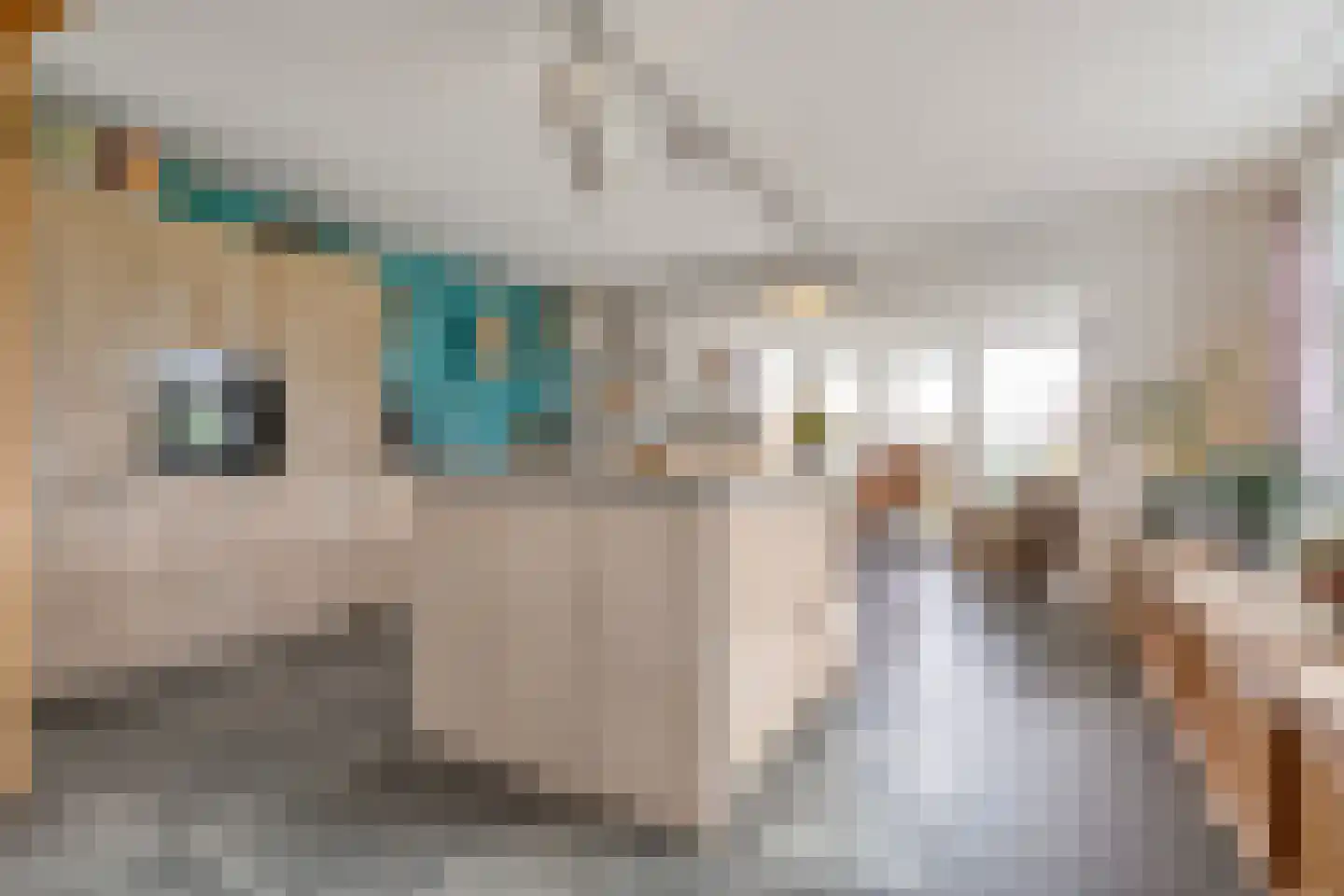 Knooperf de Veldboer 1 Langeveen thumbnail 6