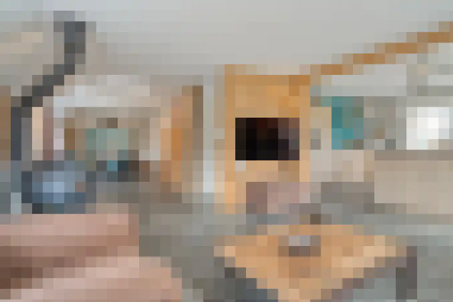 Knooperf de Veldboer 1 Langeveen thumbnail 8