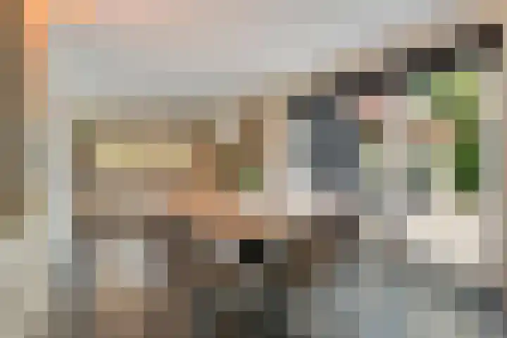 Knooperf de Veldboer 5 Langeveen thumbnail 11
