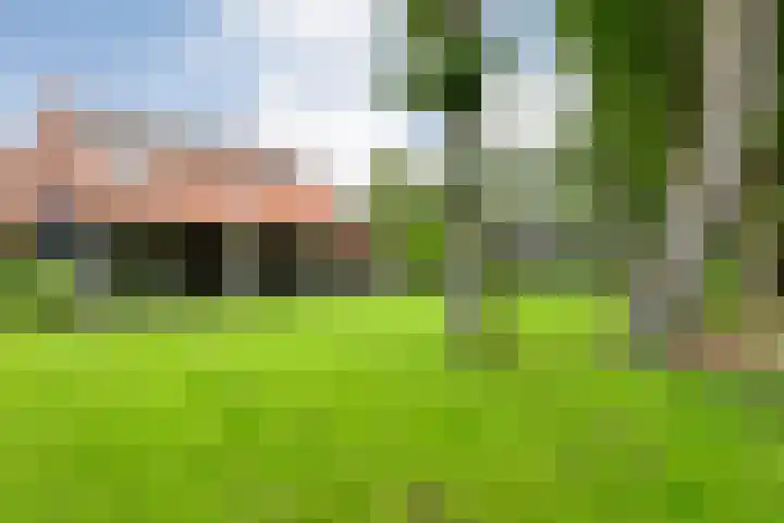 Knooperf de Veldboer 5 Langeveen foto 2