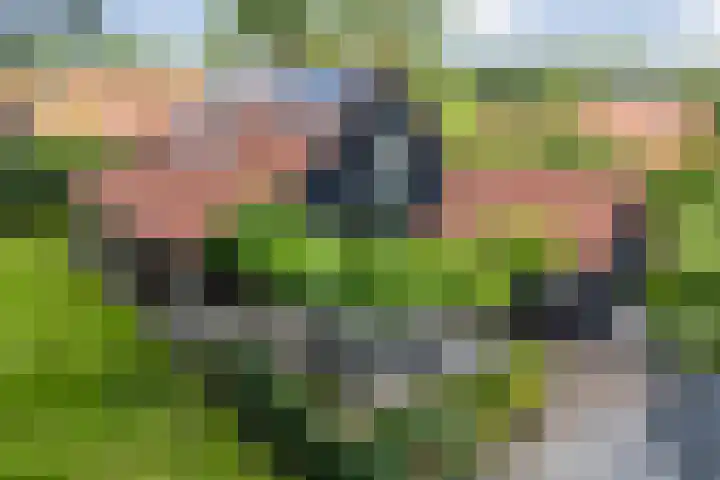 Knooperf de Veldboer 5 Langeveen thumbnail 20