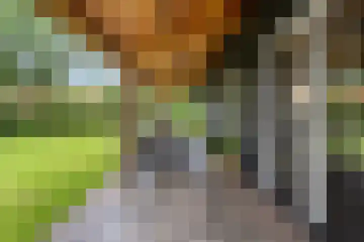 Knooperf de Veldboer 5 Langeveen thumbnail 21