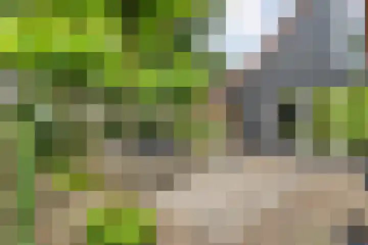 Knooperf de Veldboer 5 Langeveen thumbnail 23