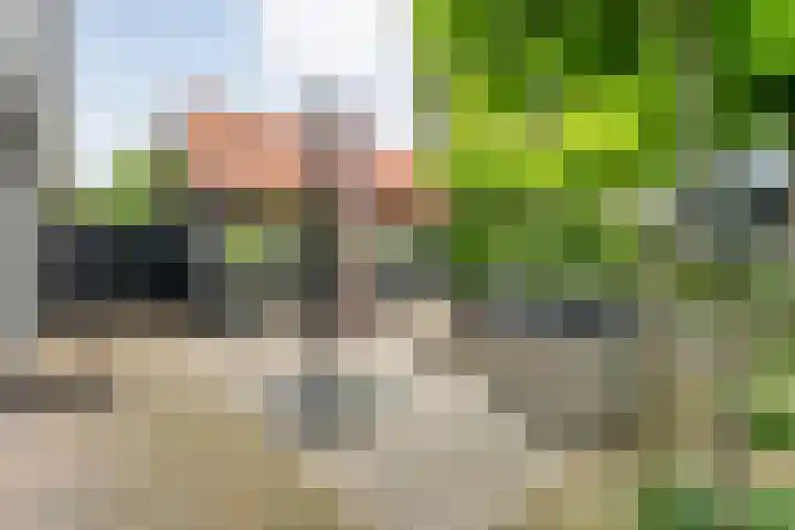 Knooperf de Veldboer 5 Langeveen thumbnail 24