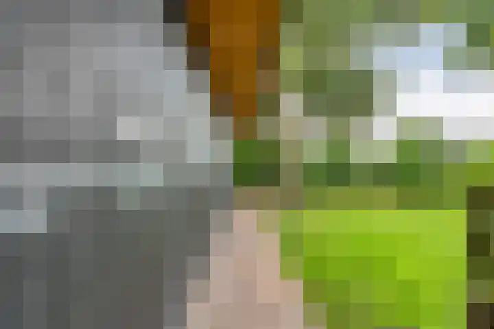 Knooperf de Veldboer 5 Langeveen thumbnail 25