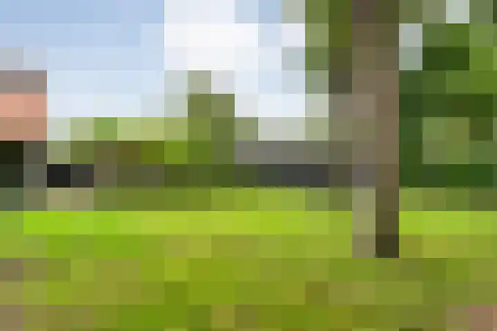 Knooperf de Veldboer 5 Langeveen thumbnail 26