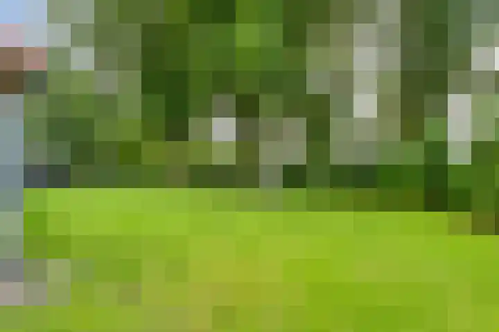 Knooperf de Veldboer 5 Langeveen thumbnail 27
