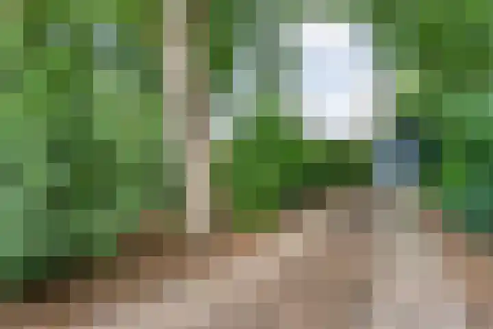 Knooperf de Veldboer 5 Langeveen thumbnail 28