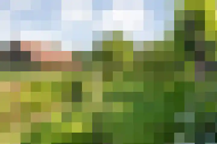 Knooperf de Veldboer 5 Langeveen thumbnail 29