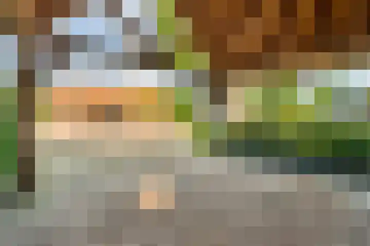 Knooperf de Veldboer 5 Langeveen thumbnail 30