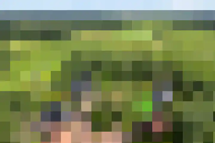 Knooperf de Veldboer 5 Langeveen thumbnail 31